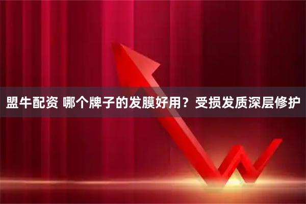 盟牛配资 哪个牌子的发膜好用？受损发质深层修护