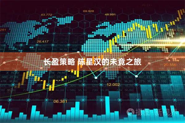 长盈策略 陈星汉的未竟之旅