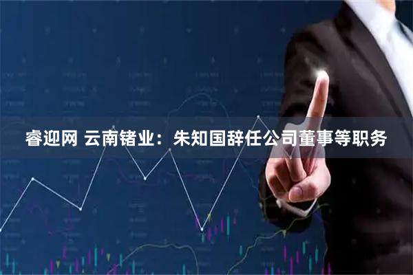 睿迎网 云南锗业：朱知国辞任公司董事等职务