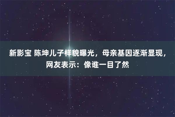 新影宝 陈坤儿子样貌曝光，母亲基因逐渐显现，网友表示：像谁一目了然