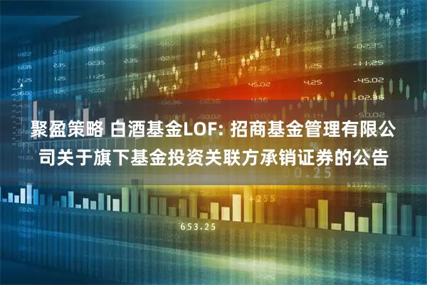 聚盈策略 白酒基金LOF: 招商基金管理有限公司关于旗下基金投资关联方承销证券的公告