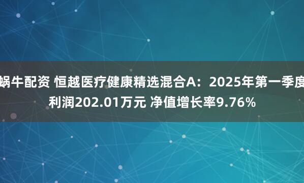 蜗牛配资 恒越医疗健康精选混合A：2025年第一季度利润202.01万元 净值增长率9.76%